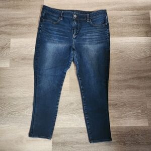 American Eagle Classic Blue The Dream Jean Size 16 Short